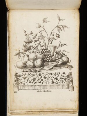 Kunst-und Fleiss-übende Nadel-Ergötzungen oder neu- erfundenes Neh- und Stick-Buch