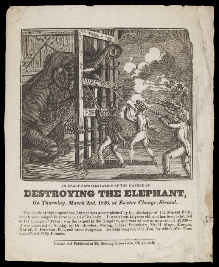 An Exact Representation of the Manner of Destroying the Elephant top image
