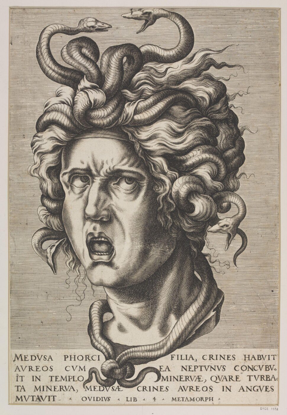 Unknown, Head of Medusa