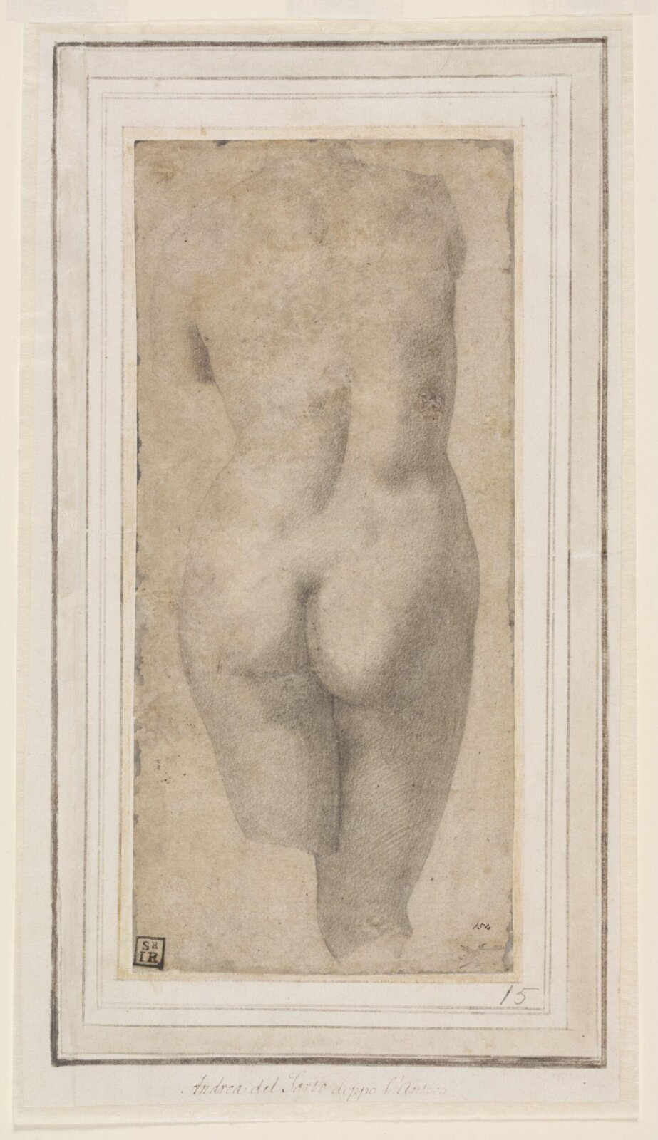 Drawing, Andrea del Sarto, ca. 1500-1530