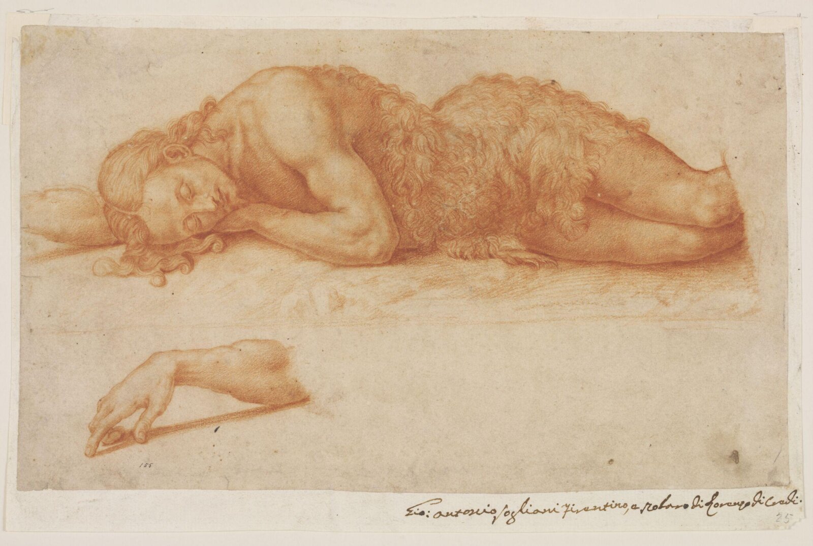 Drawing, Giovanni Antonio Sogliani, ca. 1510-1544