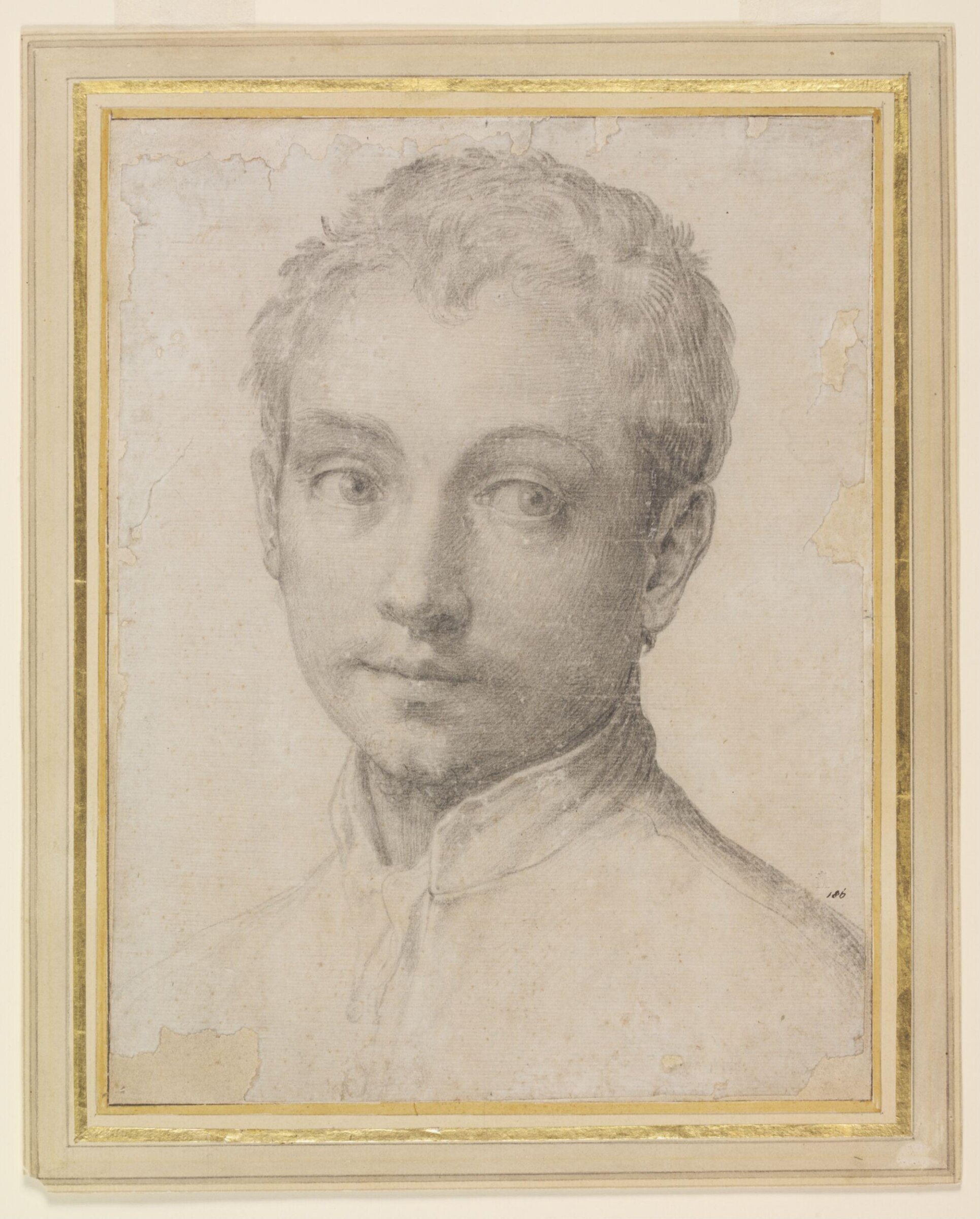 Portrait of a Youth, Francesco Salviati, 1540s