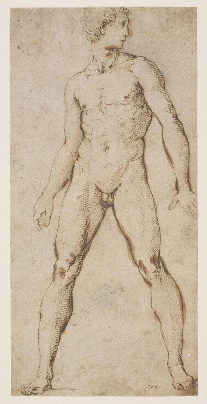 Raphael, Drawing
