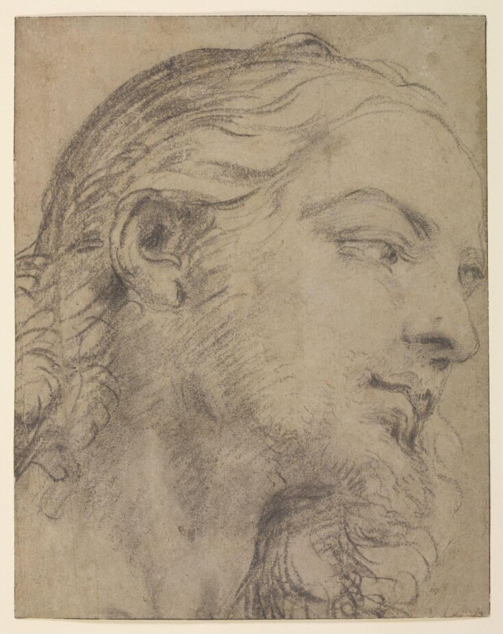 Head of a bearded young man in profile top image