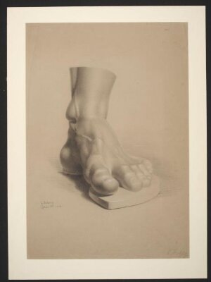 Study of a plaster cast of the foot of the Farnese Hercules
