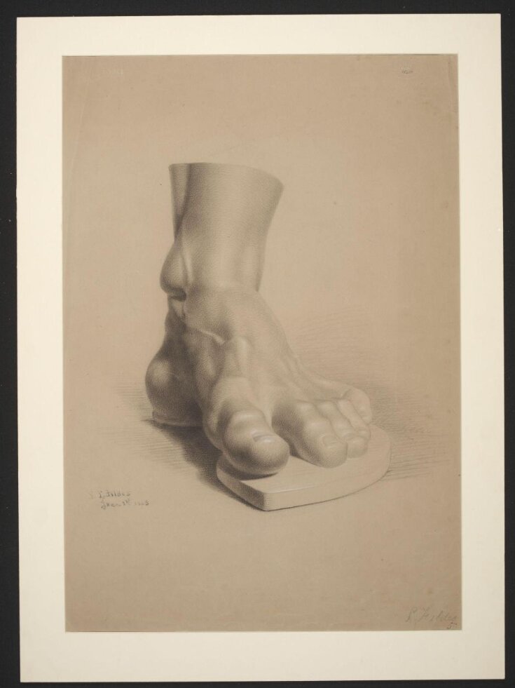 Study of a plaster cast of the foot of the Farnese Hercules top image