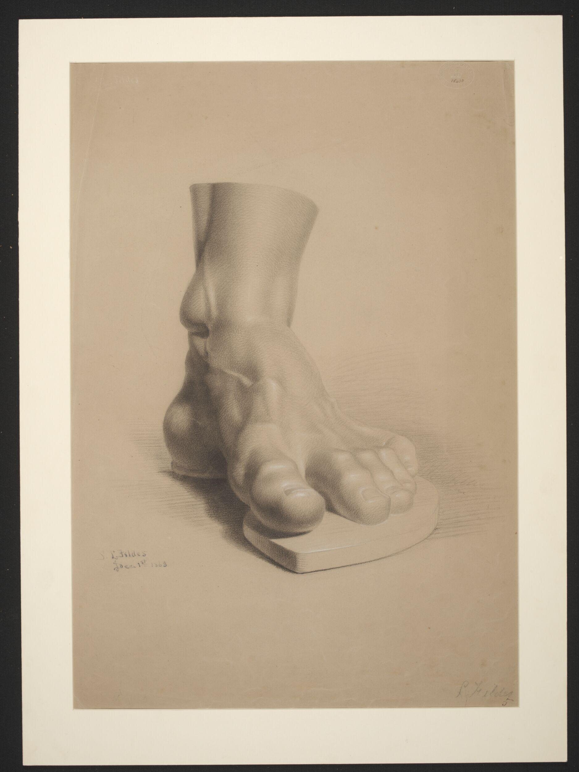 Study of a plaster cast of the foot of the Farnese Hercules