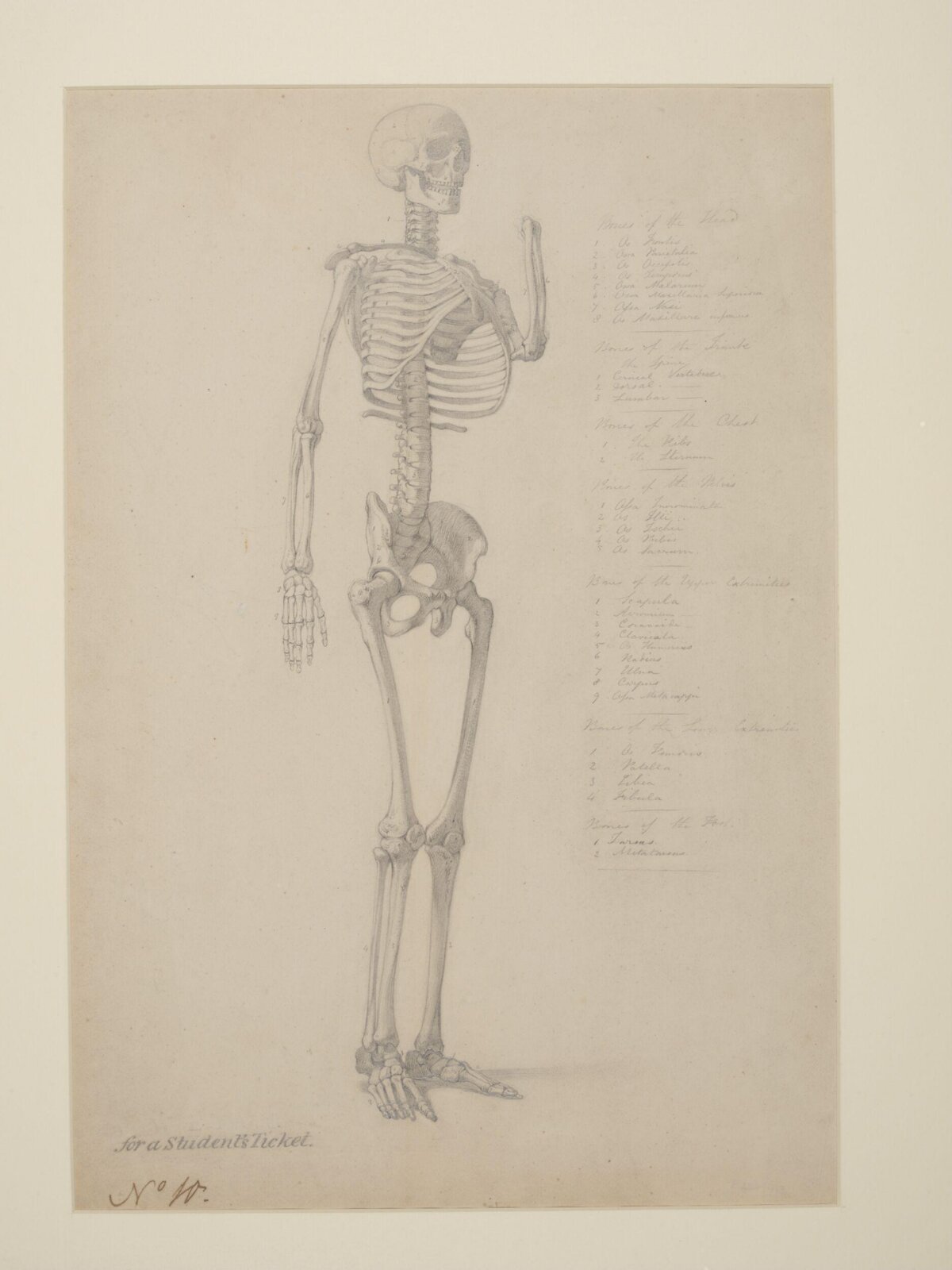 Study of a skeleton, William Edward Frost, ca.1829