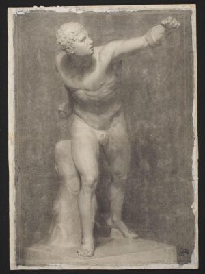 Study of a plaster cast of the Borghese Gladiator