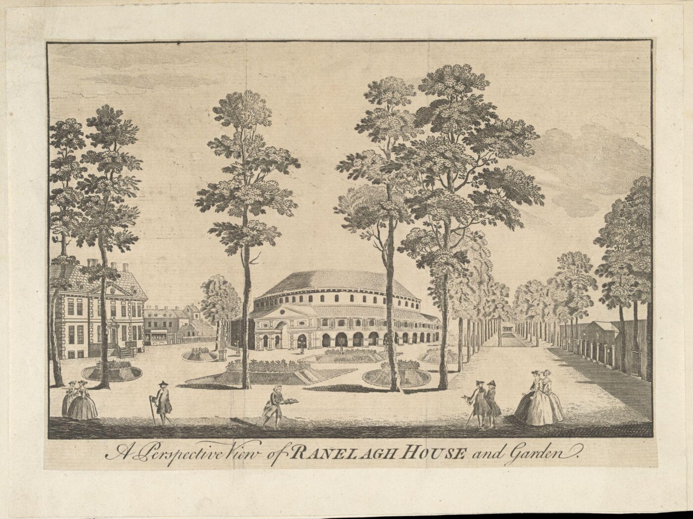 unknown, H Beard Print Collection