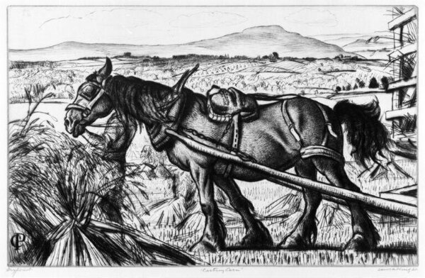 Carting Corn | Knight, Laura | V&A Explore The Collections