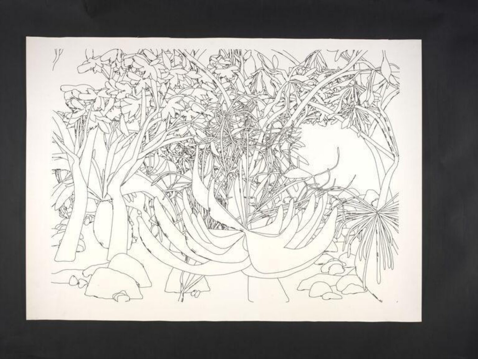 Drawing, Harold Cohen, 1989