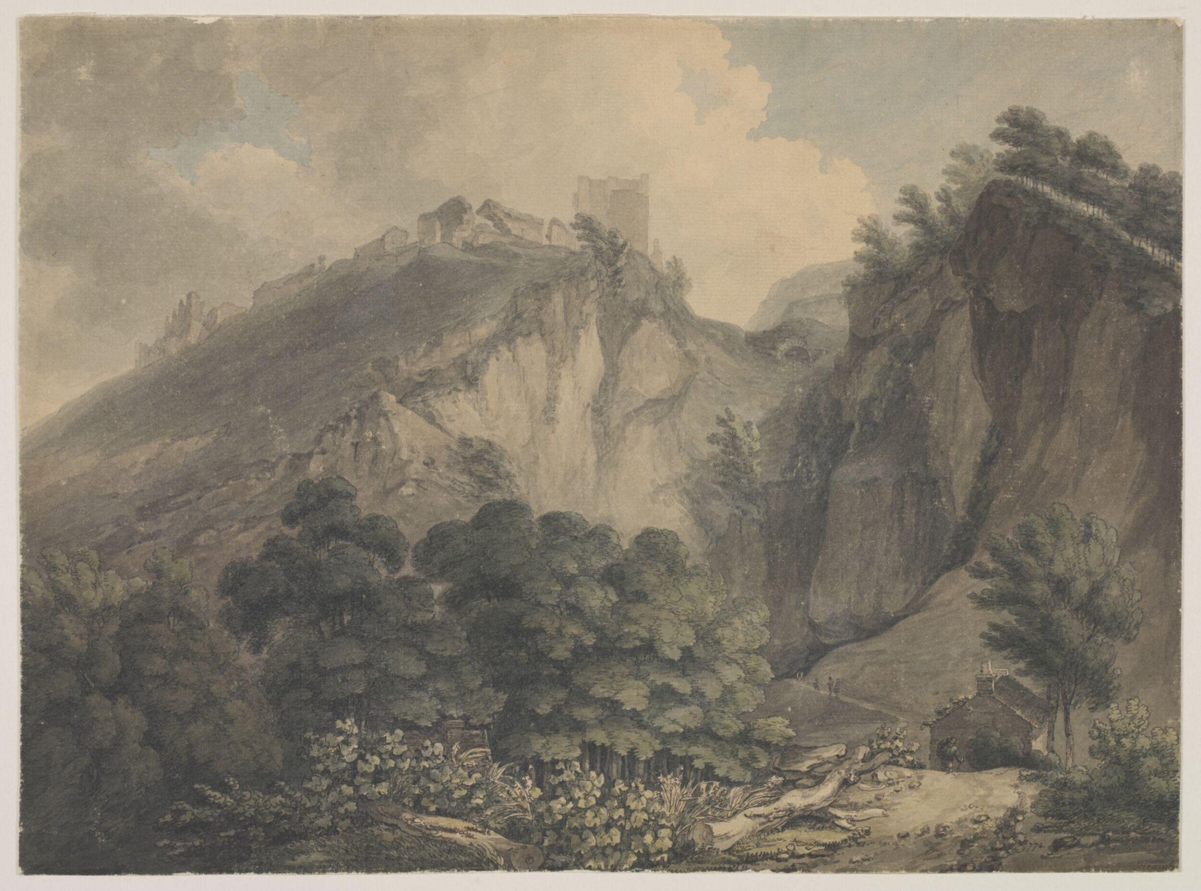 Study of Butterbur (Petasites vulgaris, Desf.) the largest leaf of any English plant, Thomas Hearne, late 18th - early 19th century