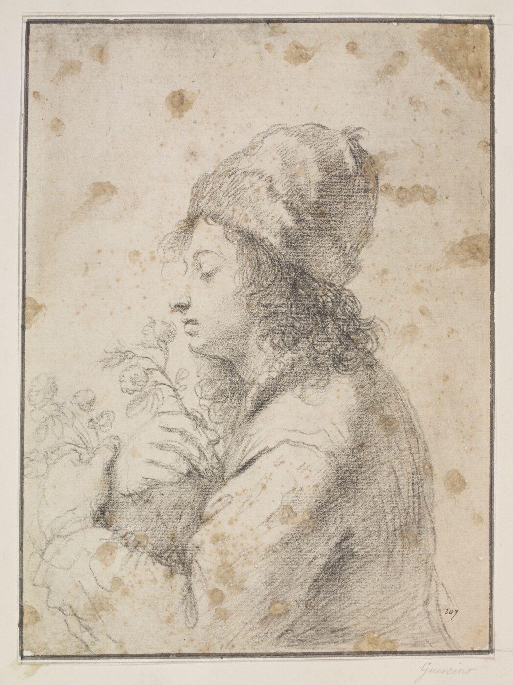 Guercino, Drawing