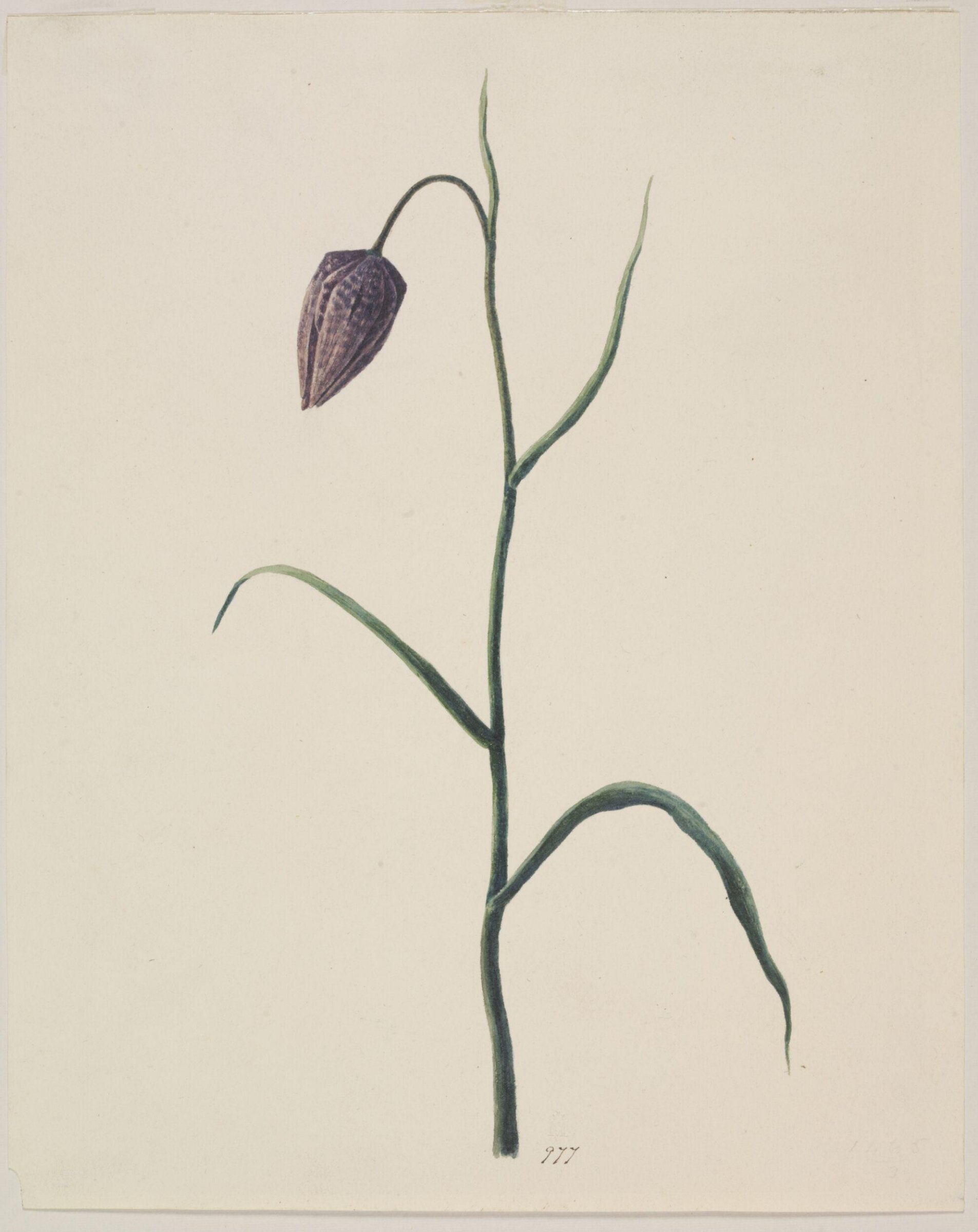 Watercolour, Alexander Dyce, early - mid 19th century