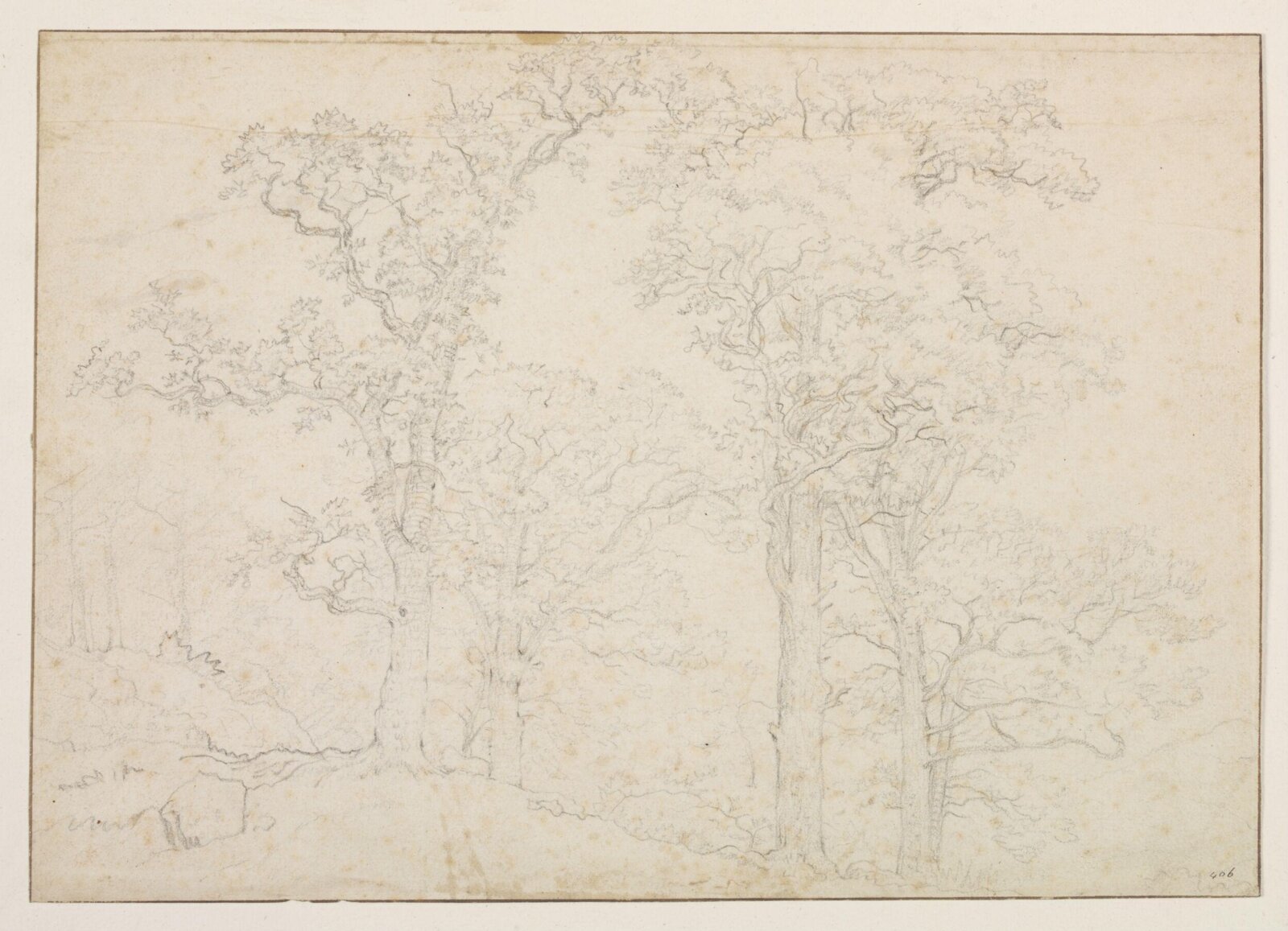 Study of Trees, Paulus Potter, mid 17th century