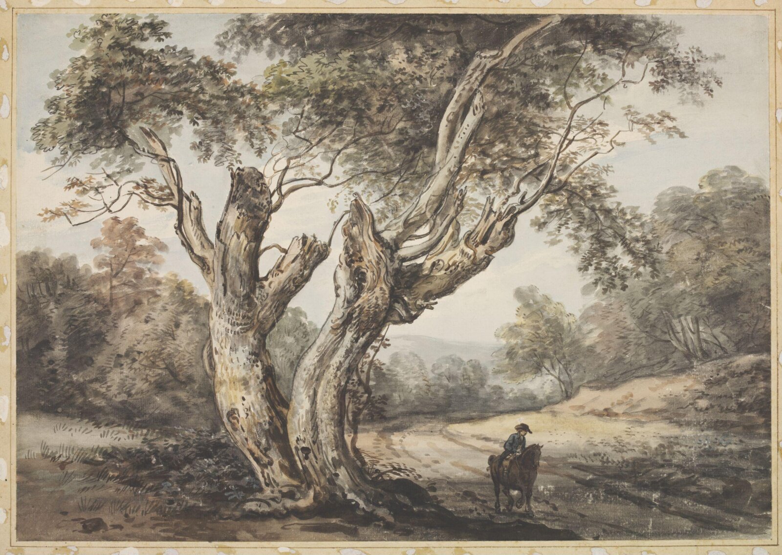 Windsor Forest, Paul Sandby, 18th to early 19th century