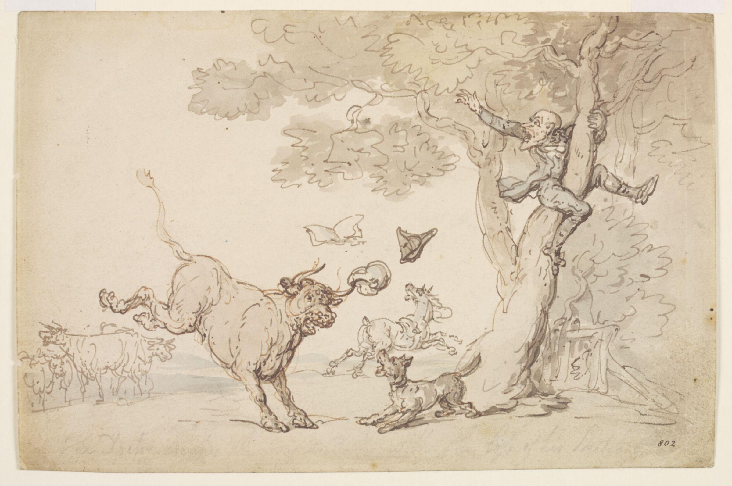 The Tour of Dr. Syntax in Search of the Picturesque, Thomas Rowlandson, early 19th century