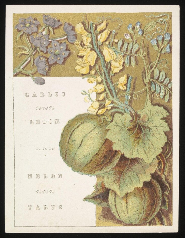 Flowers and Fruit from Bible Lands top image