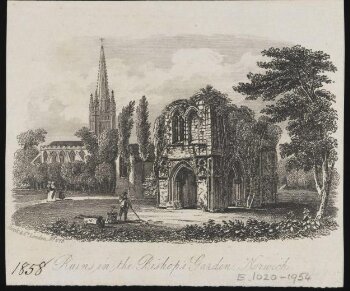 Ruins in the Bishop's Garden, Norwich