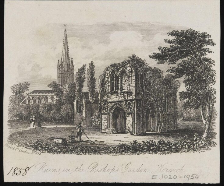 Ruins in the Bishop's Garden, Norwich image