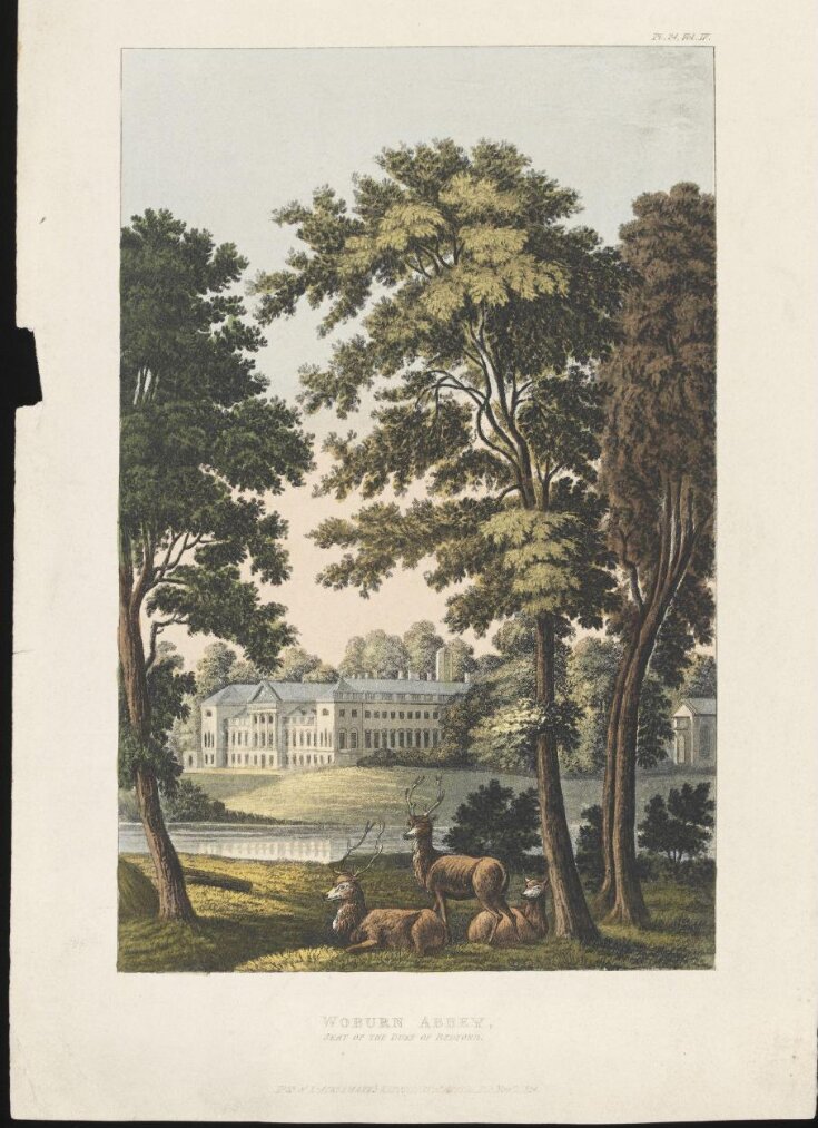 View of Woburn Abbey, Bedfordshire, seat of the Duke of Bedford image