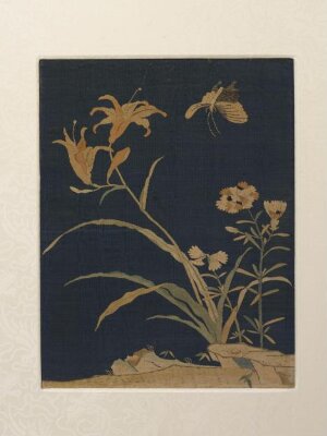 Panel