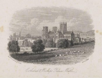 Cathedral and Bishop's Palace, Wells