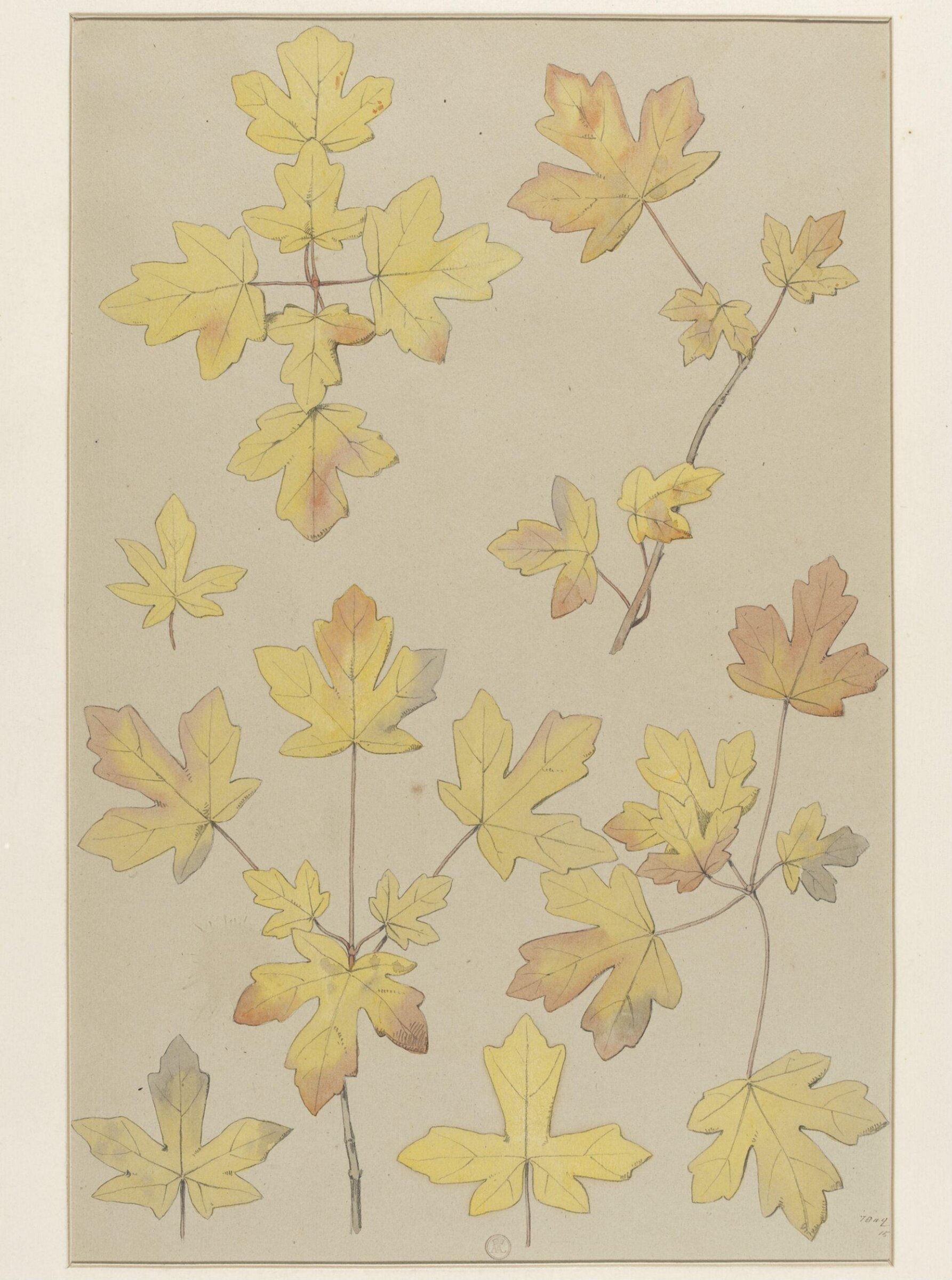 Plant Form, Frederick Edward Hulme, 1868