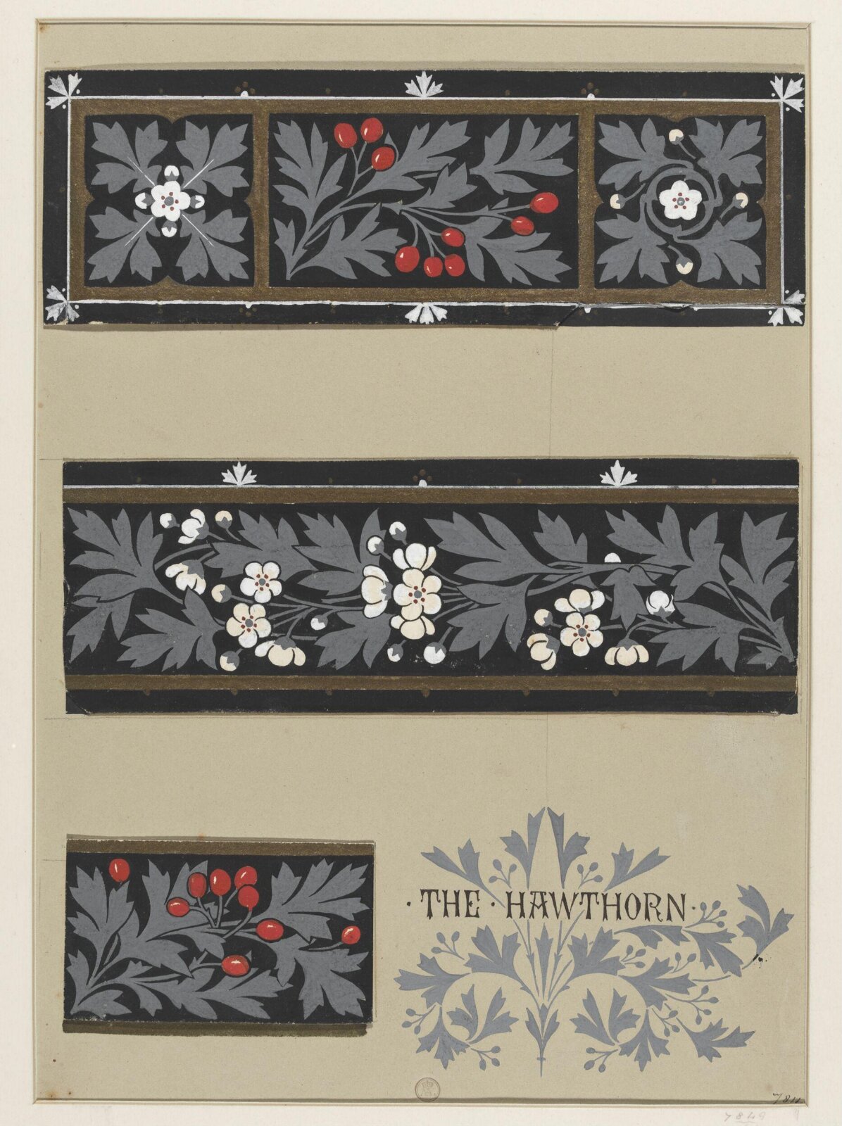 Plant Form, Frederick Edward Hulme, 1868