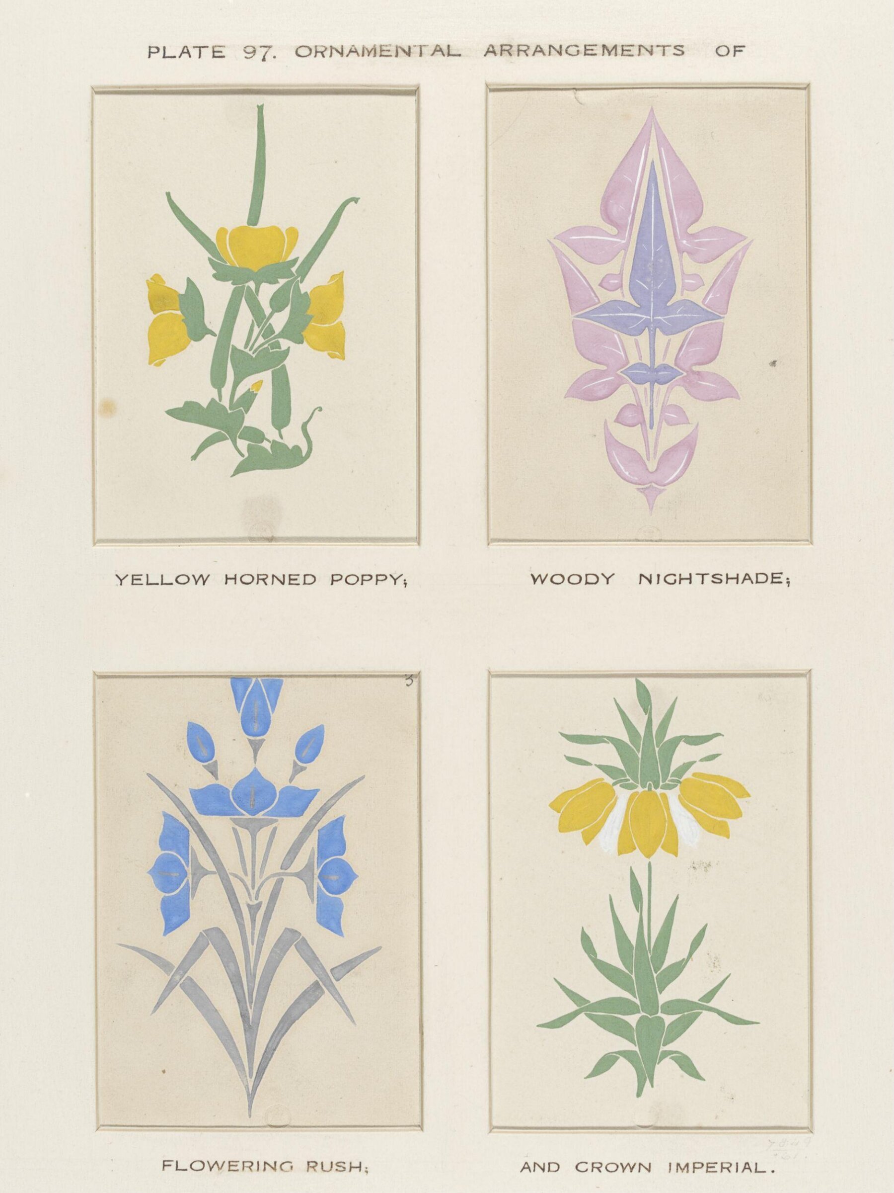 Plant Form, Frederick Edward Hulme, 1868