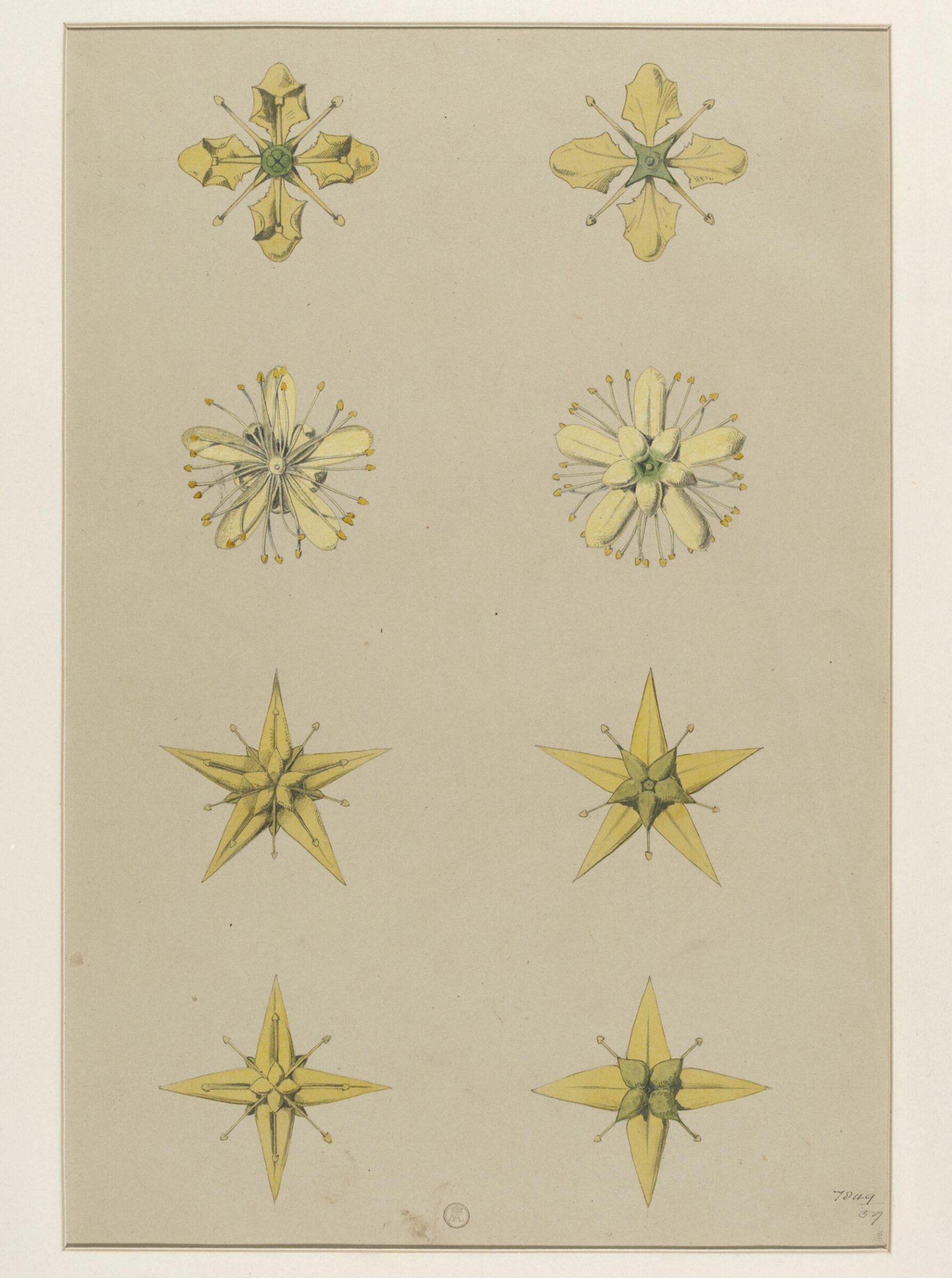 Plant Form, Frederick Edward Hulme, 1868