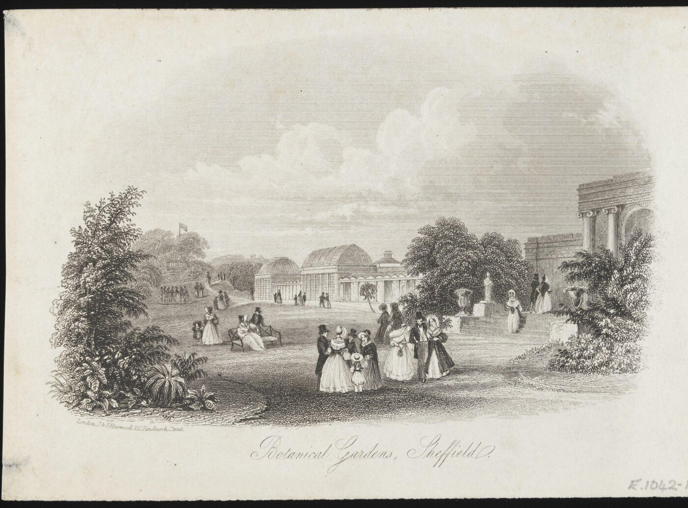 Unknown, Botanical Gardens, Sheffield