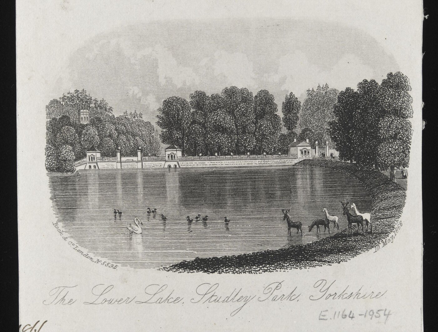 Unknown, Print