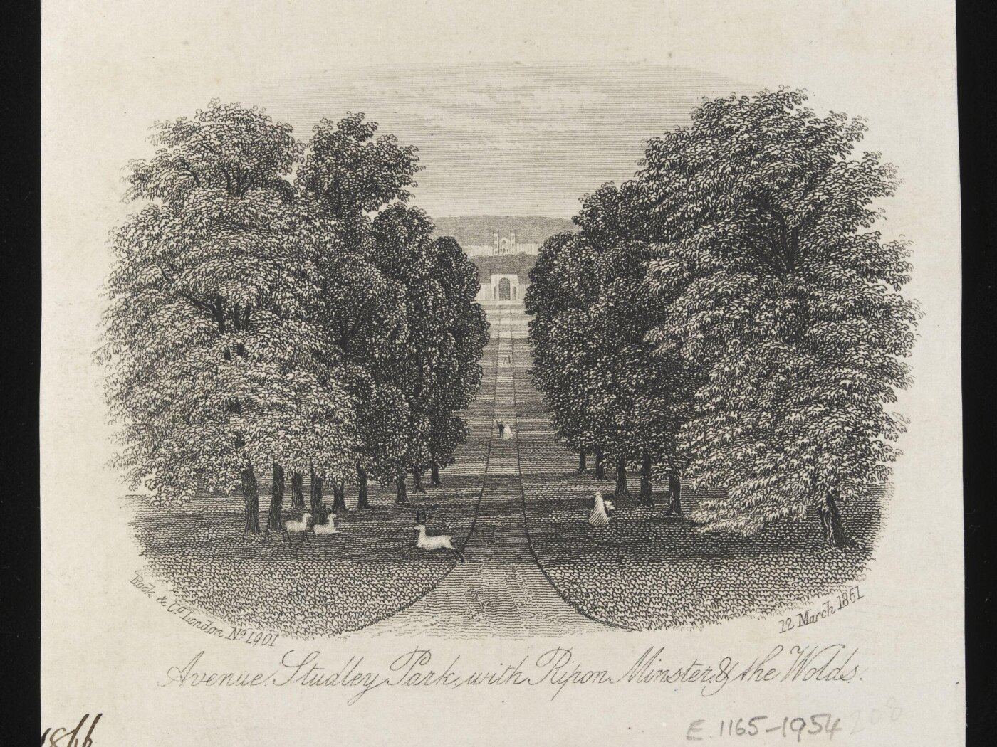 Unknown, Print
