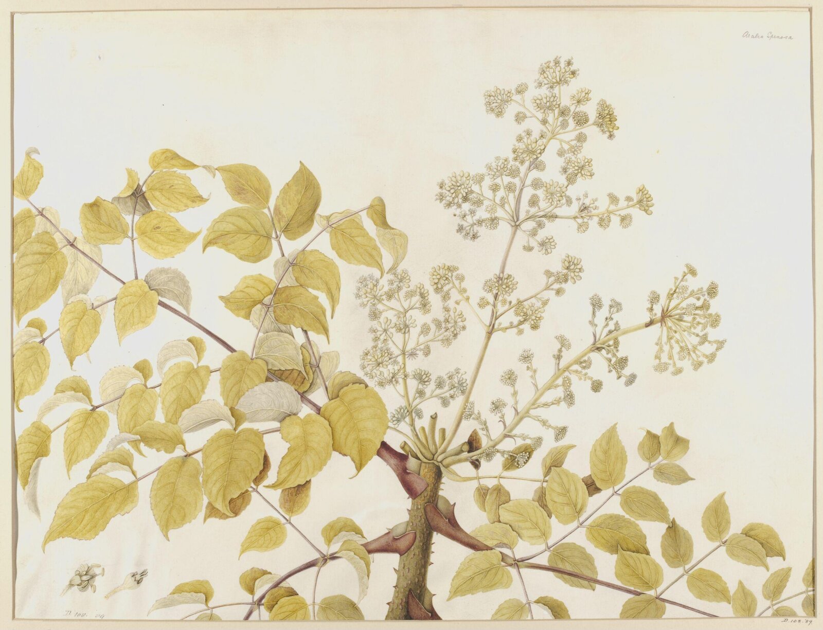 Drawing, A. Power, ca. 1800