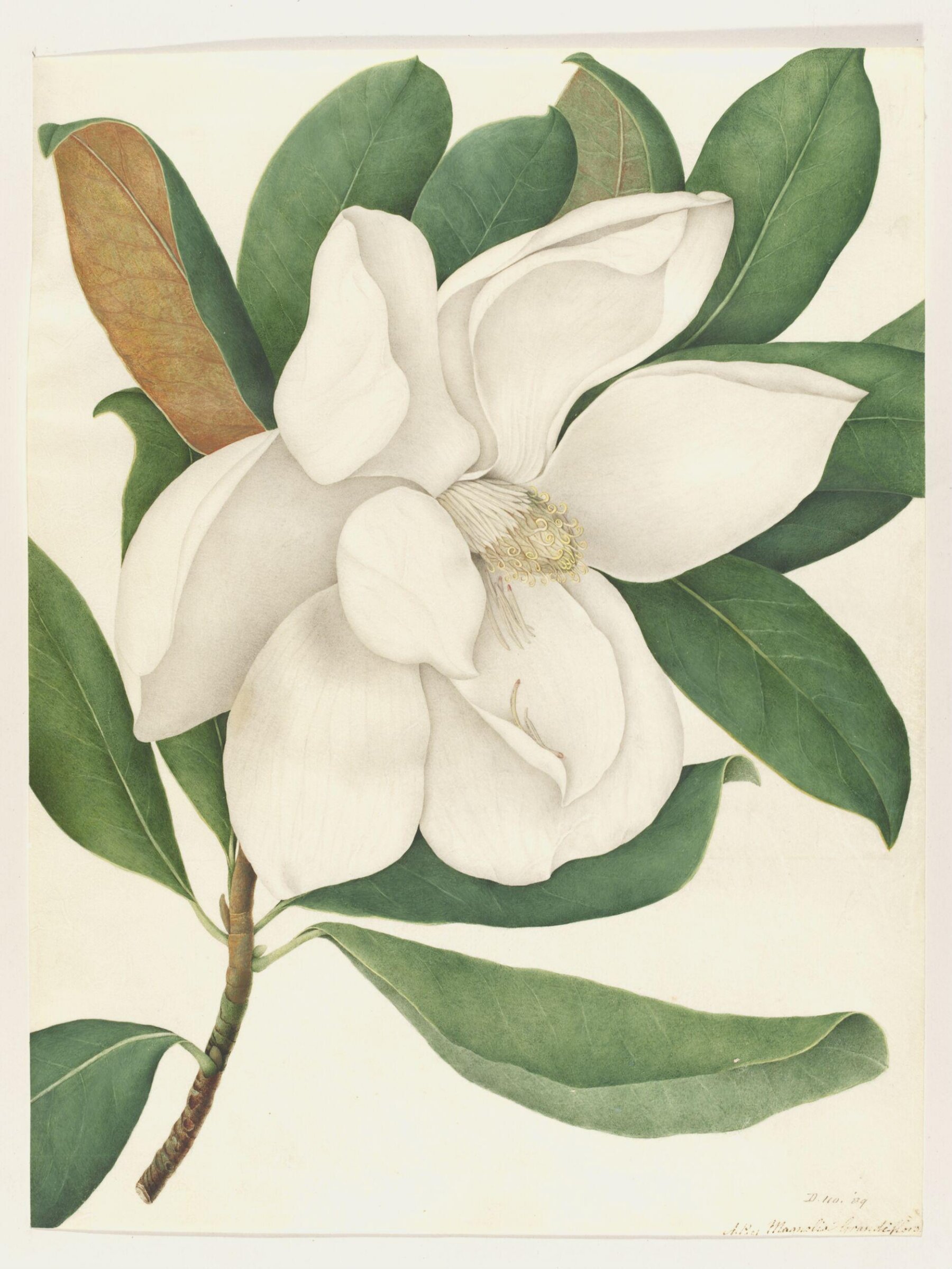 Drawing, A. Power, ca. 1800