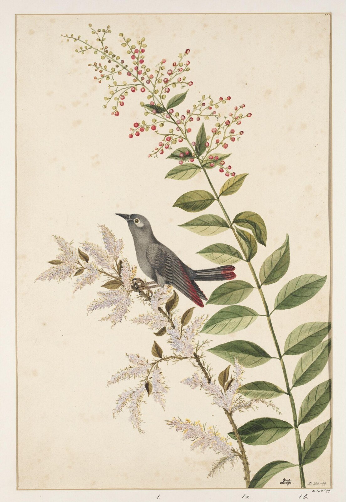 Drawing, early 19th century