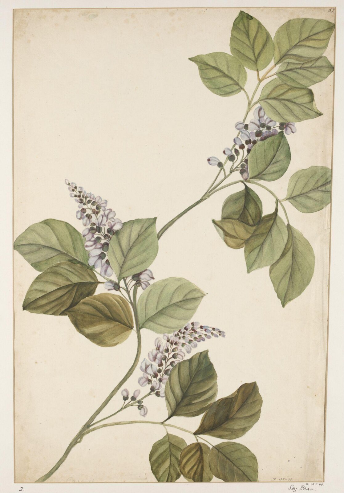 Drawing, early 19th century