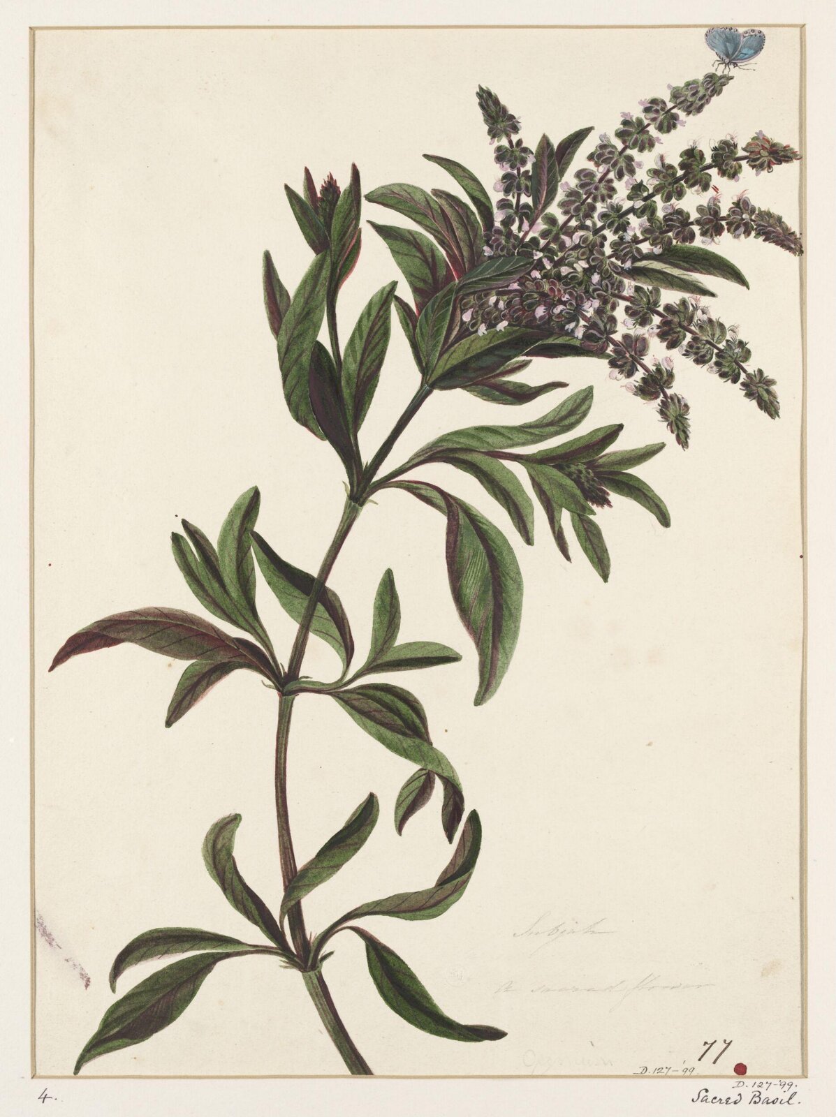 Drawing, early 19th century
