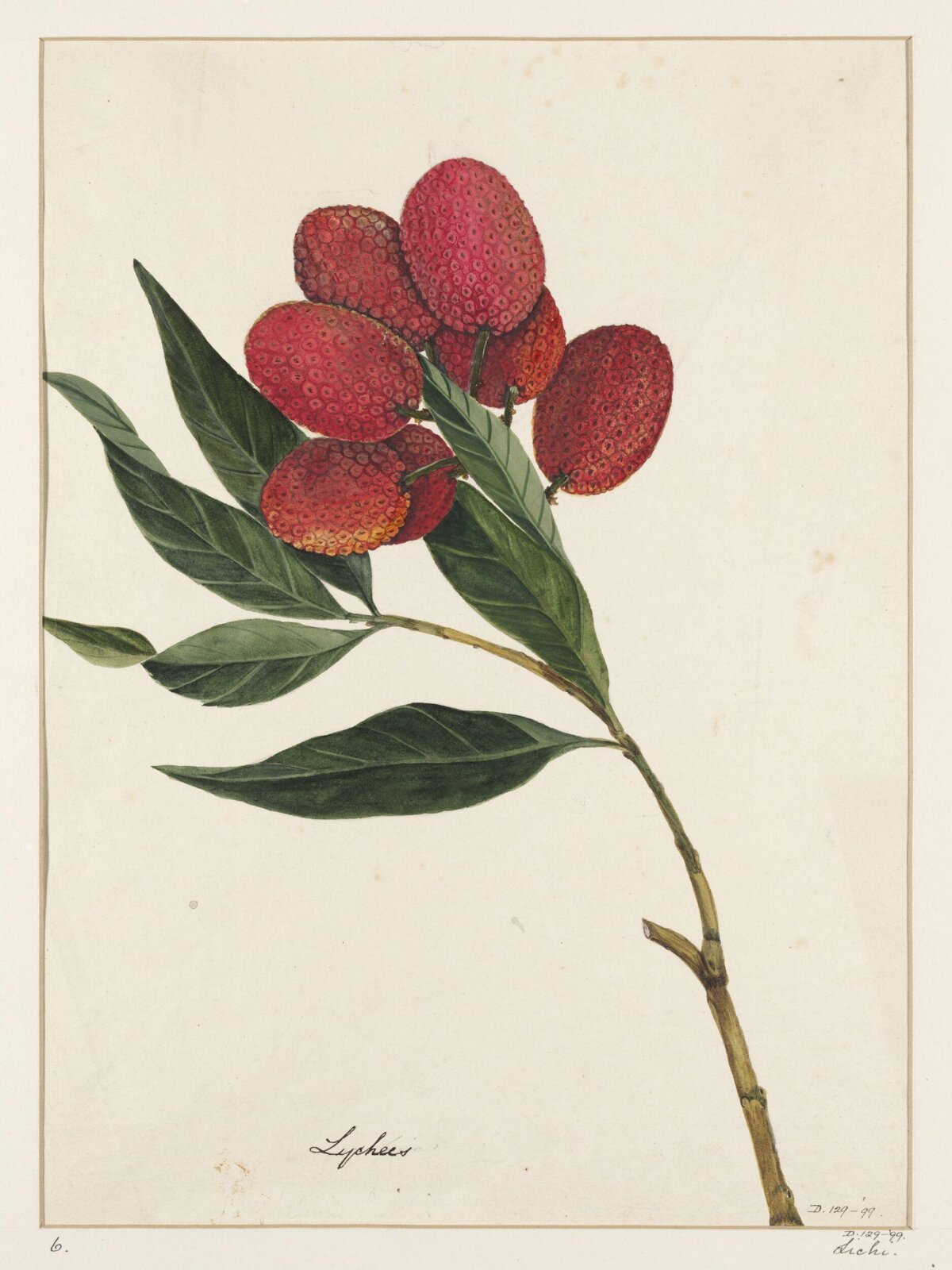 Drawing, early 19th century