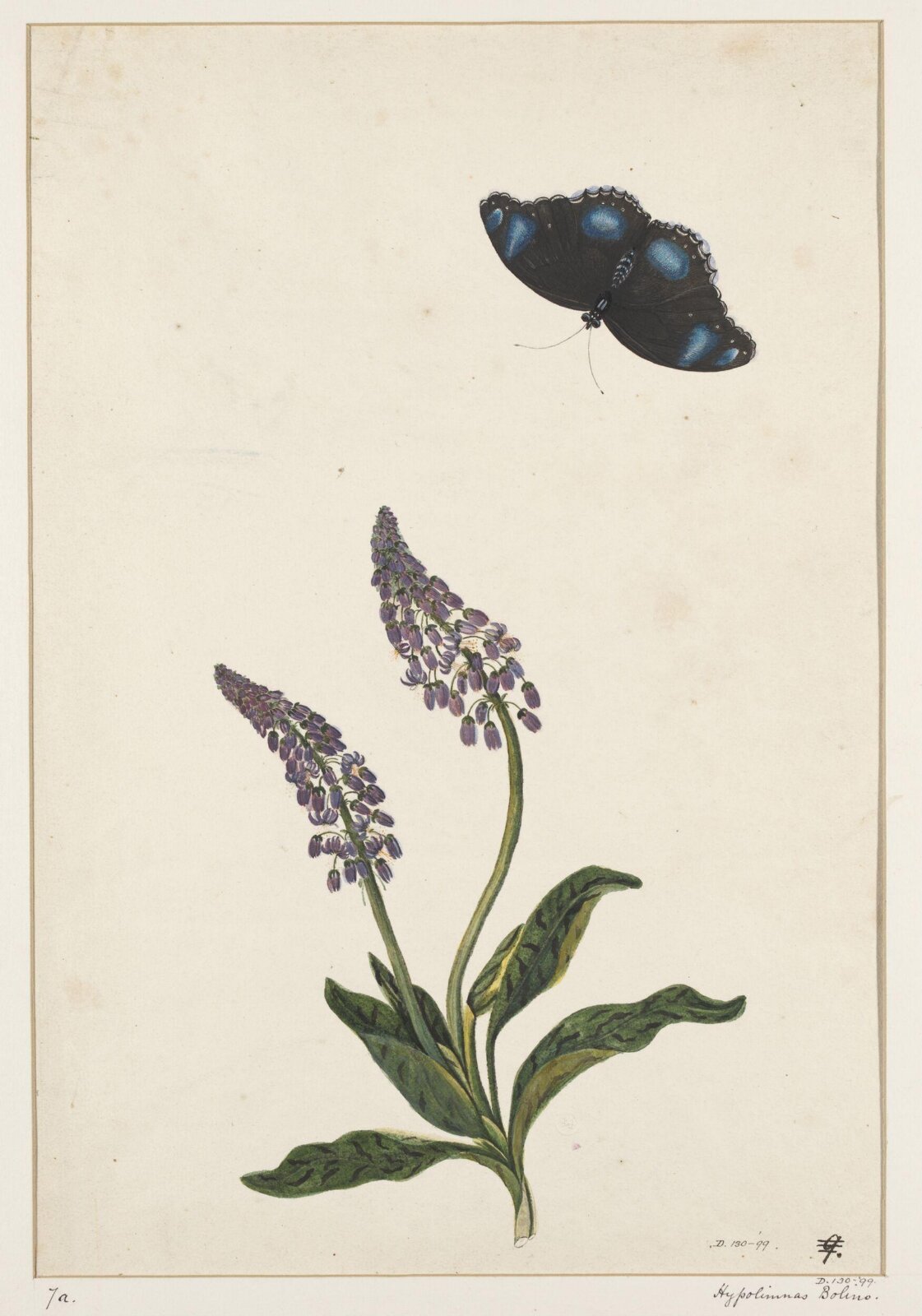 Drawing, early 19th century