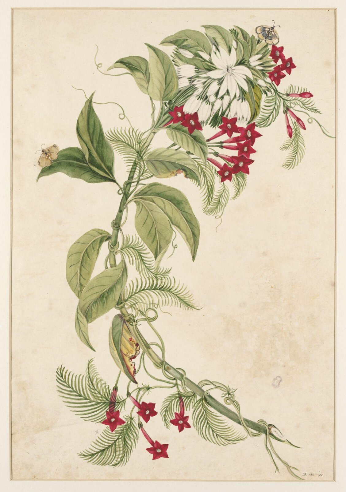 Drawing, early 19th century