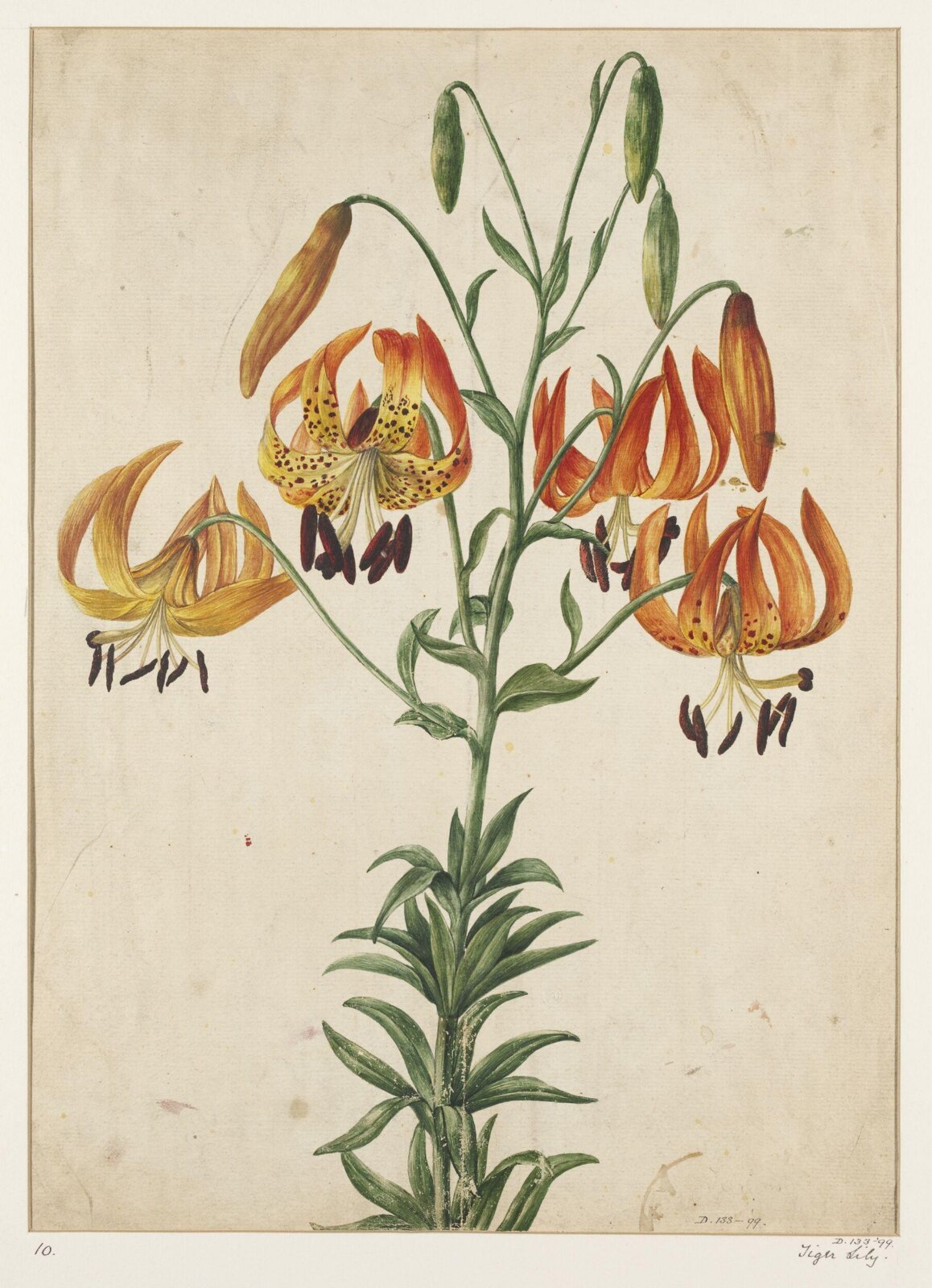 Drawing, early 19th century