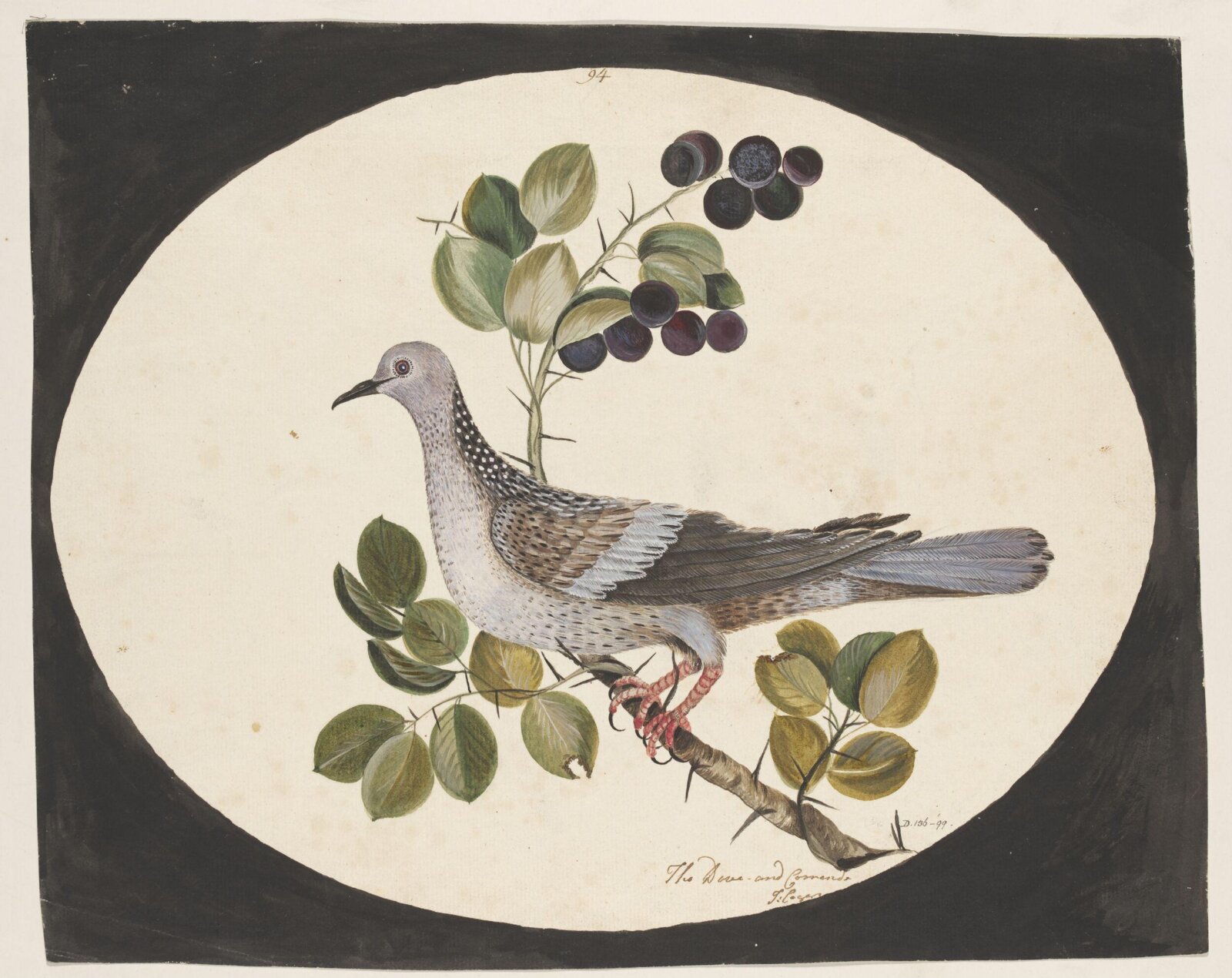 Drawing, early 19th century