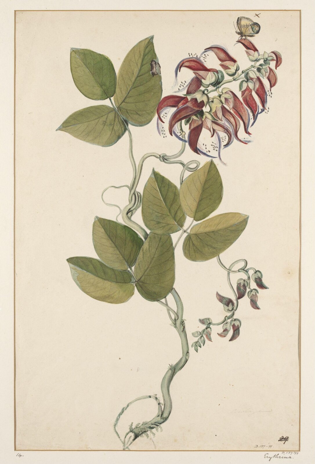 Drawing, early 19th century