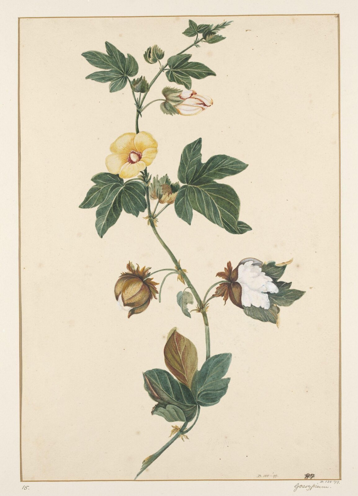 Drawing, early 19th century