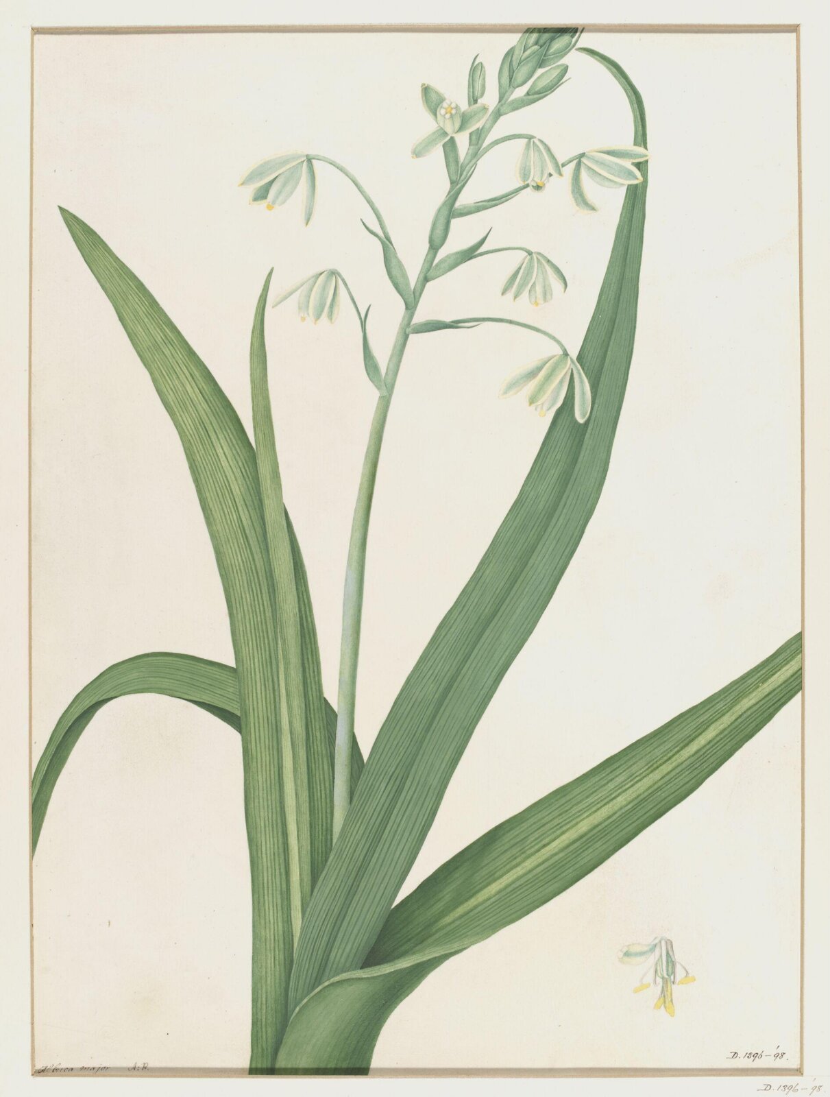 Drawing, A. Power, ca. 1800