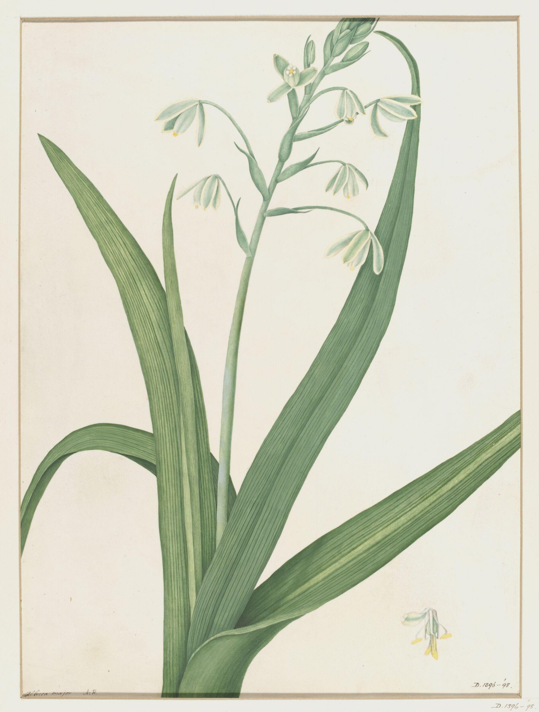Drawing, A. Power, ca. 1800