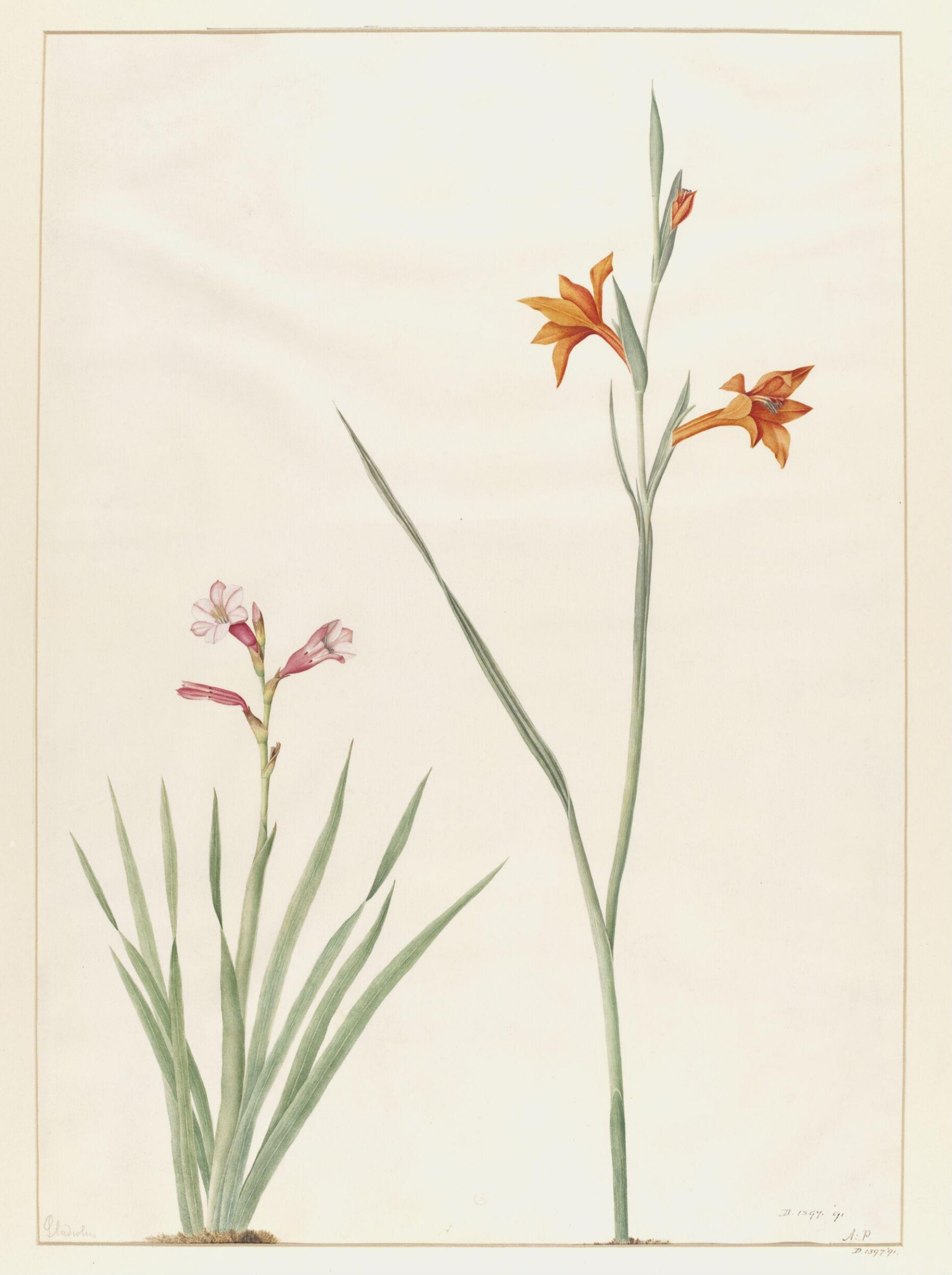 Drawing, A. Power, ca. 1800
